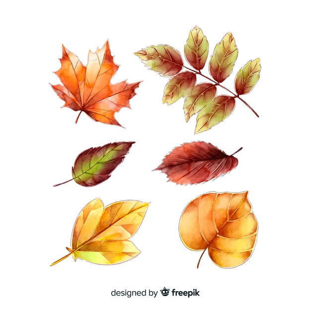 Watercolor style autumn leaves collection