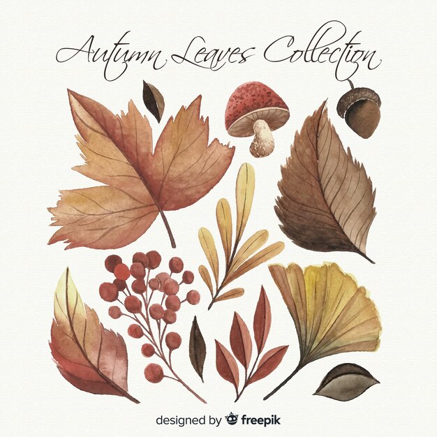 Watercolor style autumn leaves collection