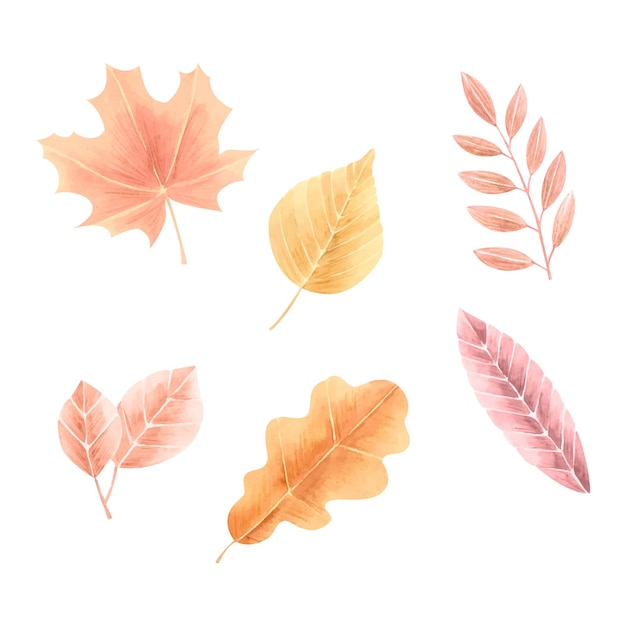 Watercolor style autumn leaves pack