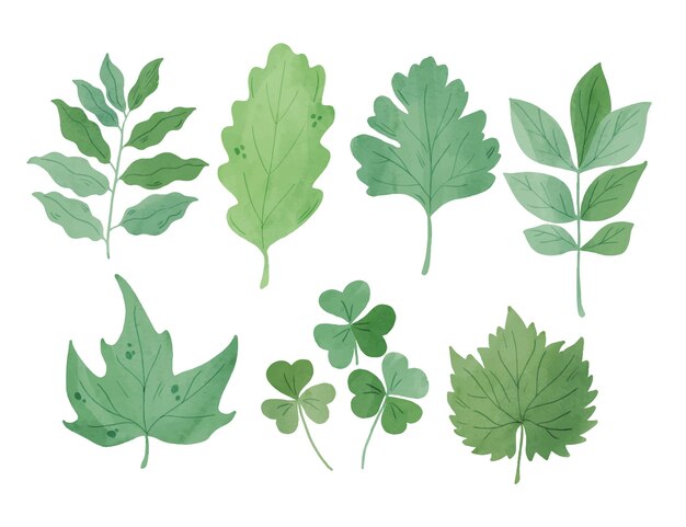 Watercolor style green leaves collection