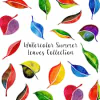 Free vector watercolor summer leaves collection background