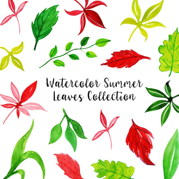 Free vector watercolor summer leaves collection background