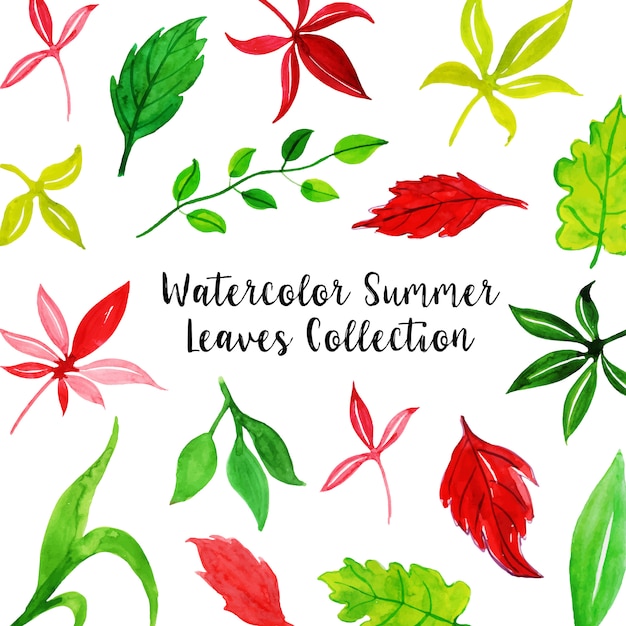 Free Vector watercolor summer leaves collection background