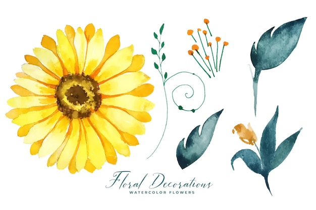 Free vector watercolor sunflower and leaves collection elements