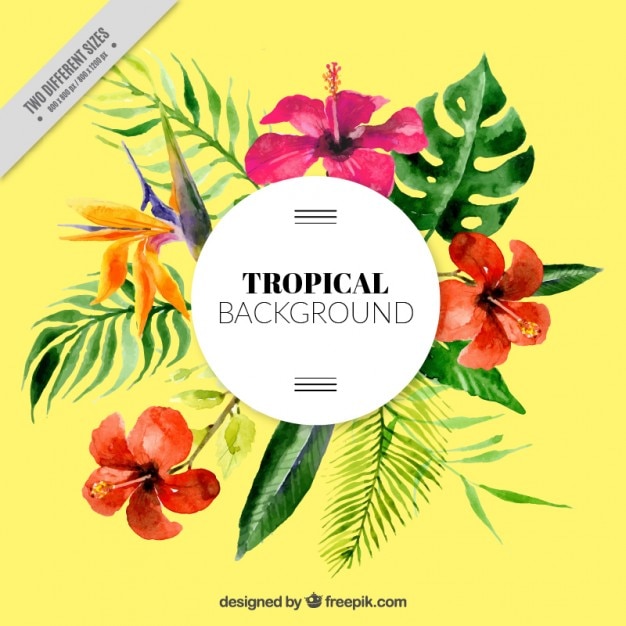 Free vector watercolor tropical background and leaves