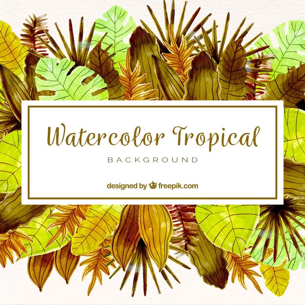 Watercolor tropical background with elegant style