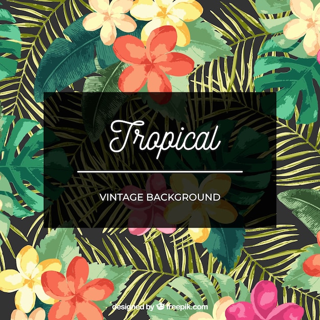 Watercolor tropical background with vintage style