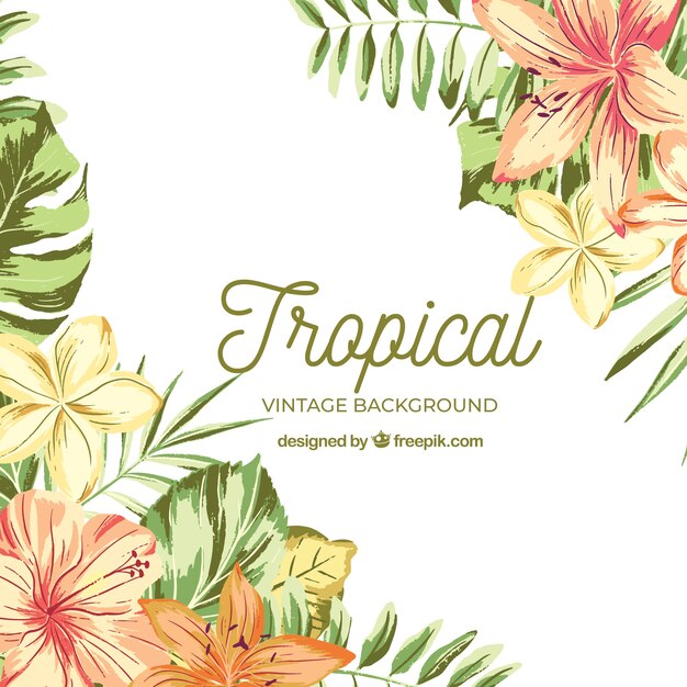 Watercolor tropical background with vintage style