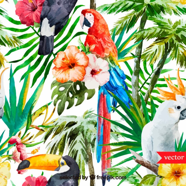 Free vector watercolor tropical background