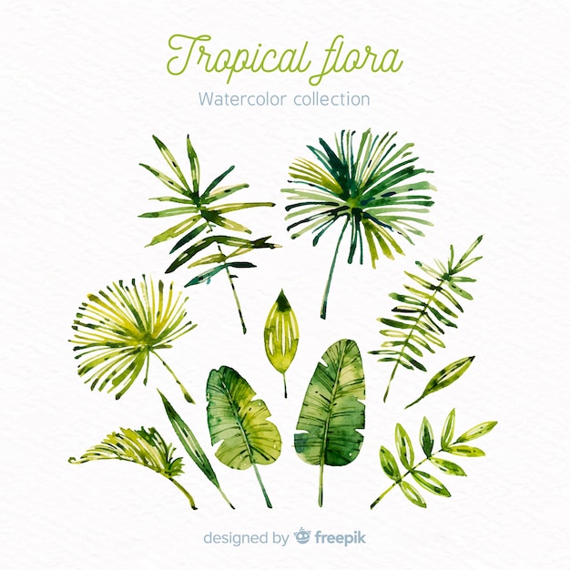 Watercolor tropical flowers and leaves