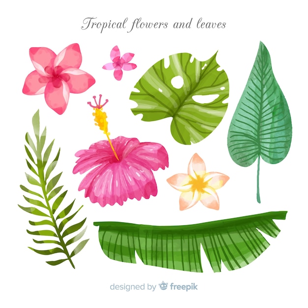 Watercolor tropical flowers and leaves