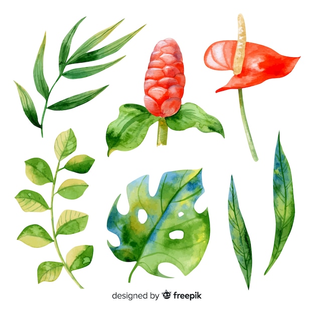 Watercolor tropical flowers and leaves