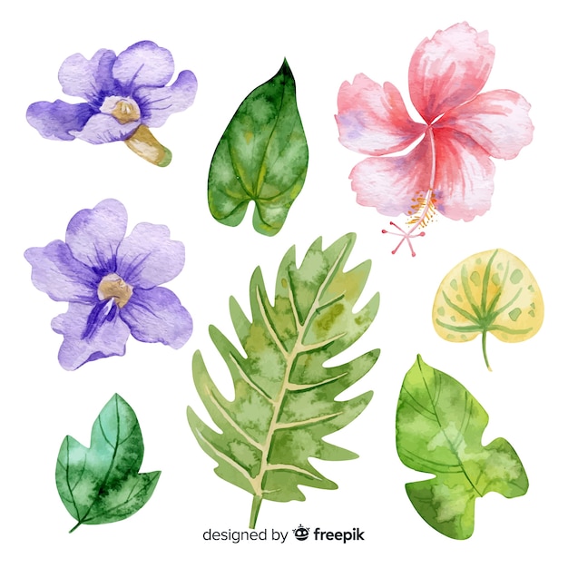 Watercolor tropical flowers and leaves