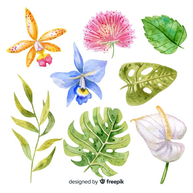 Free vector watercolor tropical flowers and leaves