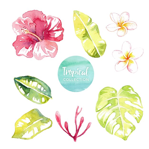 Watercolor tropical leaves and flowers