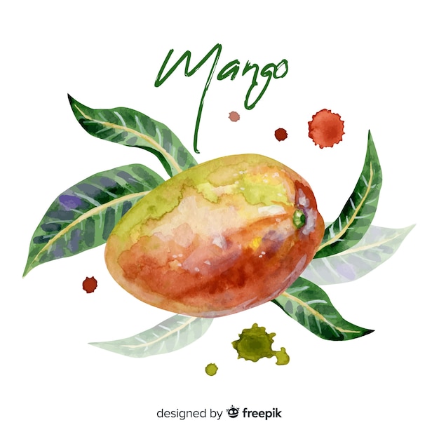 Watercolor tropical mango with leaves