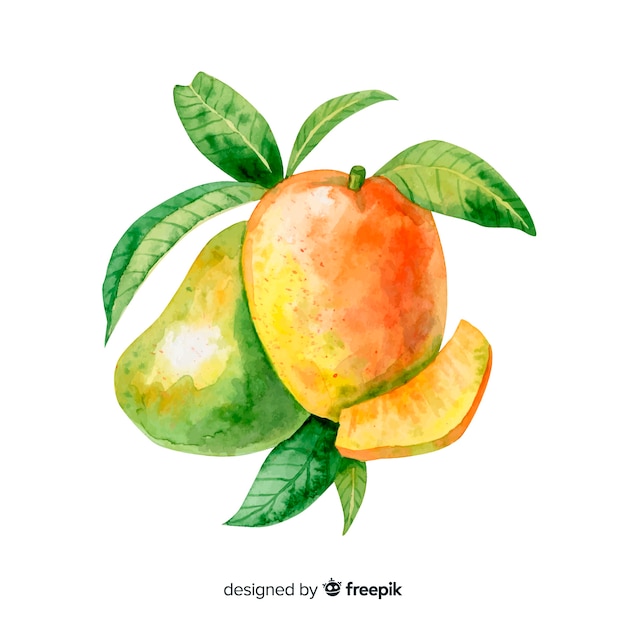 Watercolor tropical mangos with leaves
