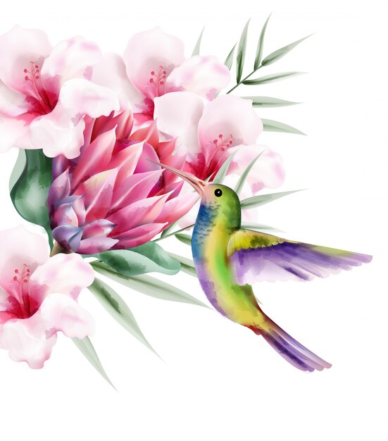Watercolor tropical paradise bird with colorful feathers