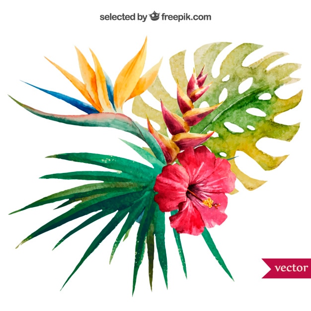 Бесплатное векторное изображение Акварель тропическое растение