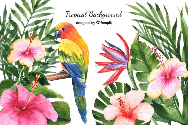 Watercolor tropical plants and birds background