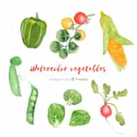 Бесплатное векторное изображение Акварельные овощи и фрукты фон