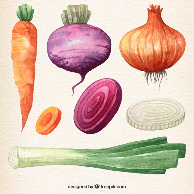 Watercolor vegetables collection