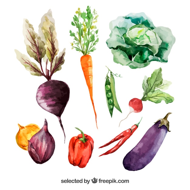 Free vector watercolor vegetables