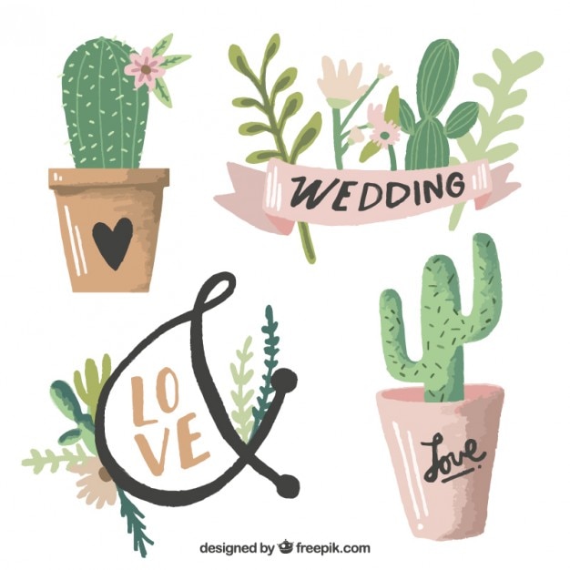 Watercolor wedding cactus