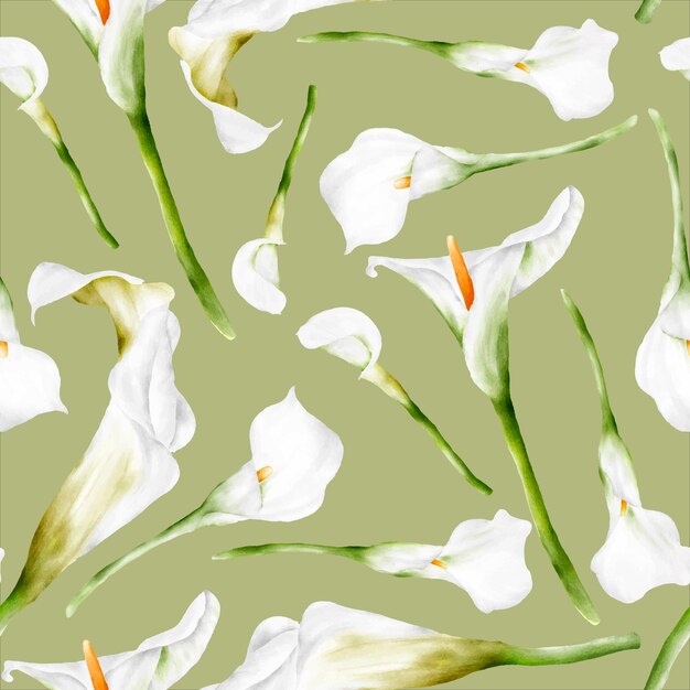 акварель белый цветок лилии каллы цветочный бесшовный узор