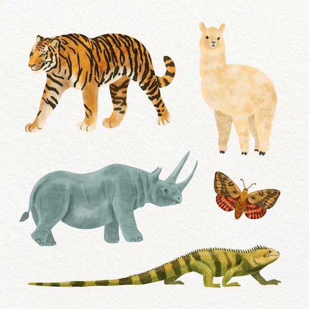 Watercolor  wild animals illustration