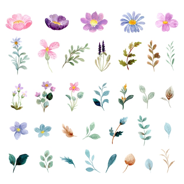 Коллекция акварельных диких цветочных элементов