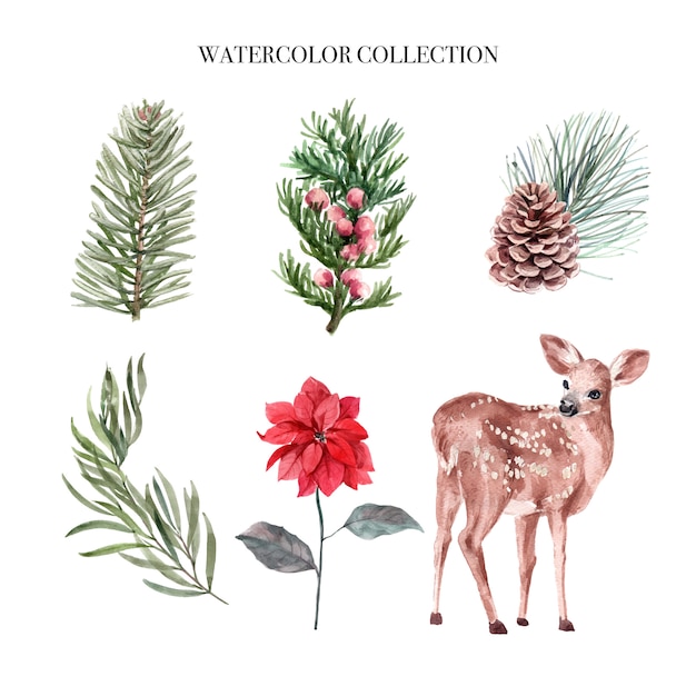 Watercolor winter decoration illustration, consisting of plants and deer.