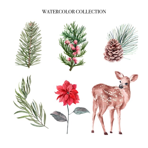 Watercolor winter decoration illustration, Consisting of plants and deer.