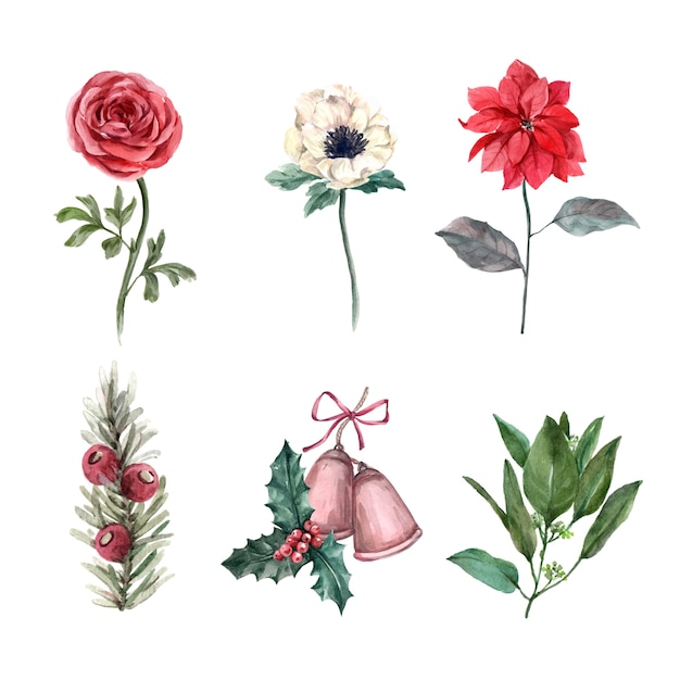 Free vector watercolor winter decoration illustration on white, consisting of various flower.