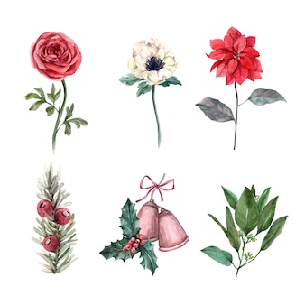 Watercolor winter decoration illustration on white, consisting of various flower.