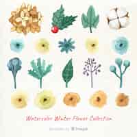 Free vector watercolor winter flower collection