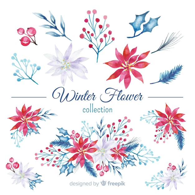 Free vector watercolor winter flower collection