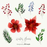 Free vector watercolor winter flower collection