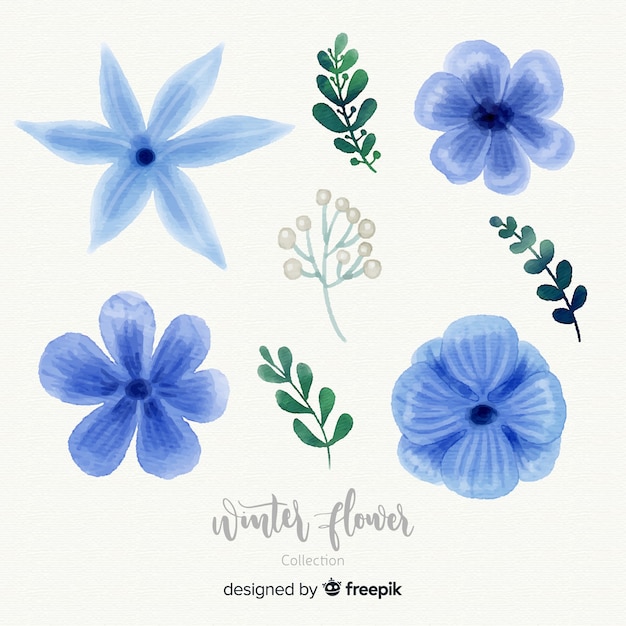 Free vector watercolor winter flower collection