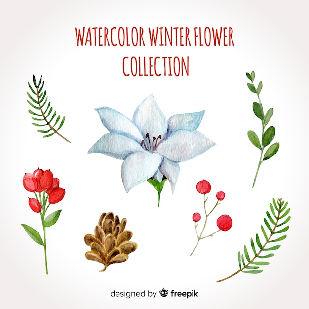 Free vector watercolor winter flowers collection