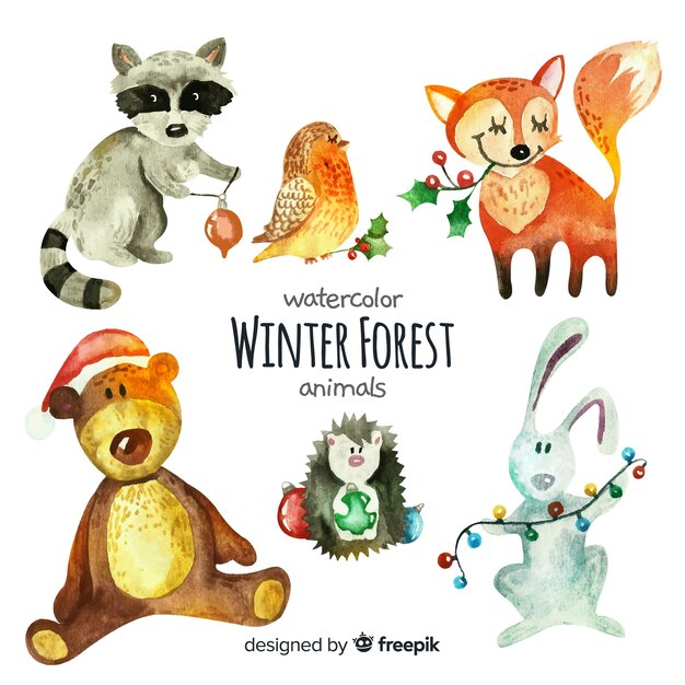 Watercolor winter forest animal collection
