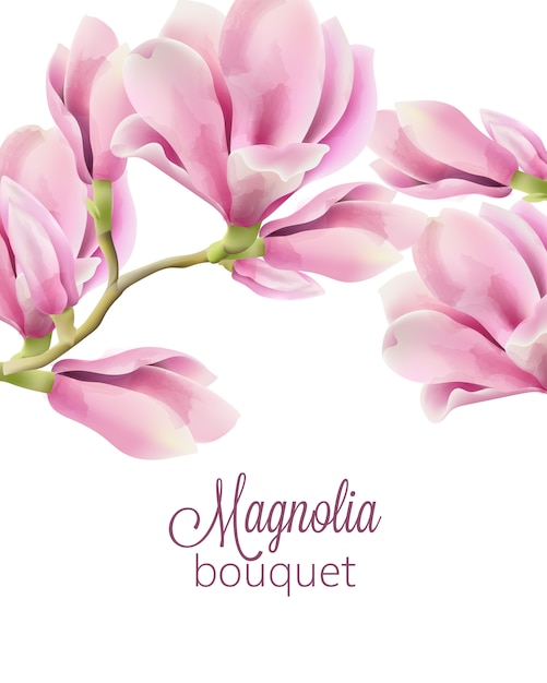 無料ベクター マグノリアの花の春の花束と水彩画