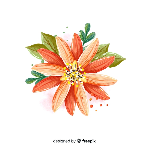 Watercolour coral flower flat lay