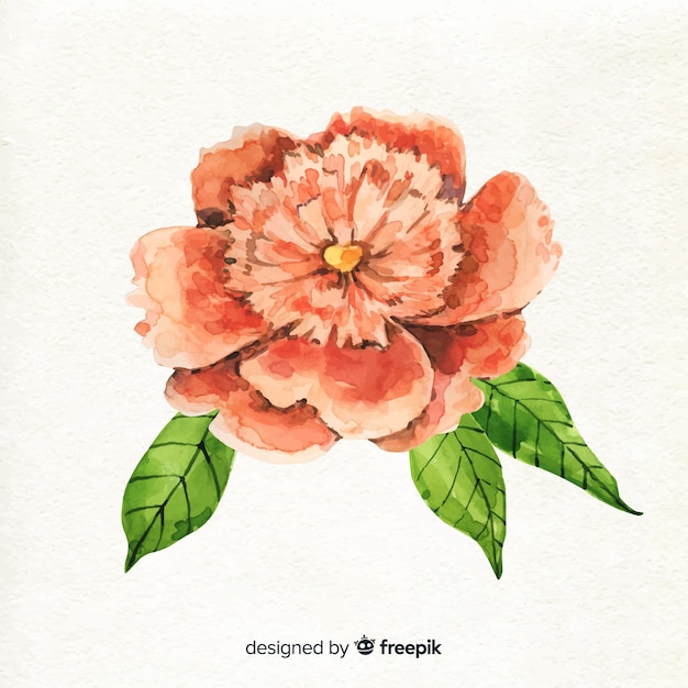 Watercolour coral flower flat lay