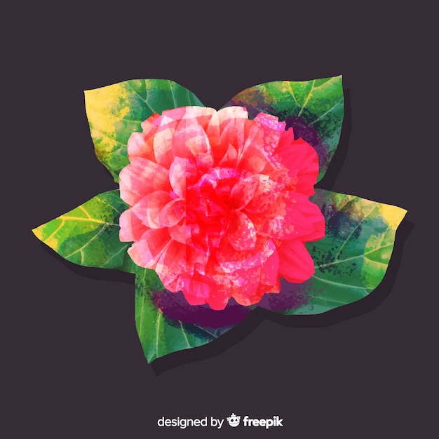 Free vector watercolour coral flower with leaves