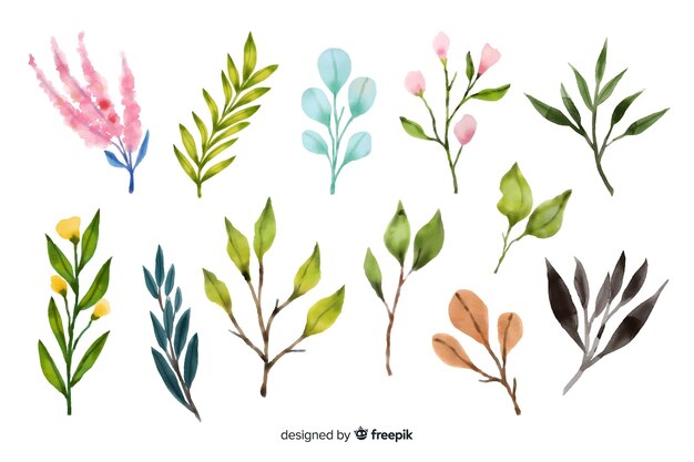 Watercolour floral branch collection