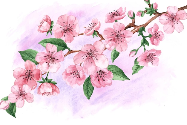 Watercolour sakura flowers and leaves