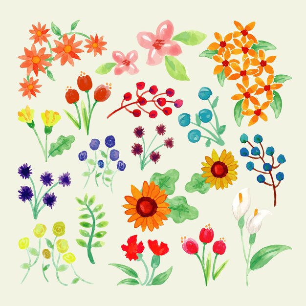 Watercolour spring colourful flower collection