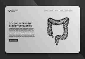 Free vector web page design templates collection of colon intestine digestive system human anatomy abstract wireframe from dot and lines design