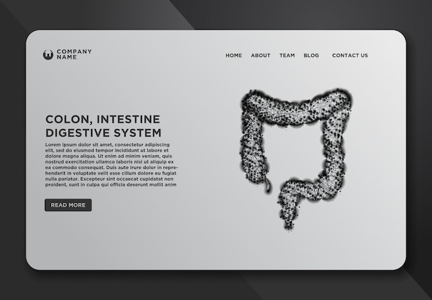 結腸腸消化器系のWebページデザインテンプレートコレクション点と線のデザインからの人体解剖学抽象ワイヤーフレーム
